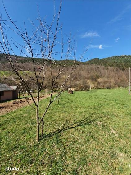 Teren de 6100 mp, în Bulz