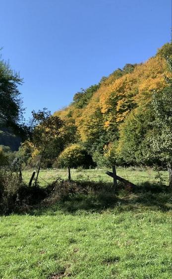 Teren de 1190 mp, în Someșu Rece