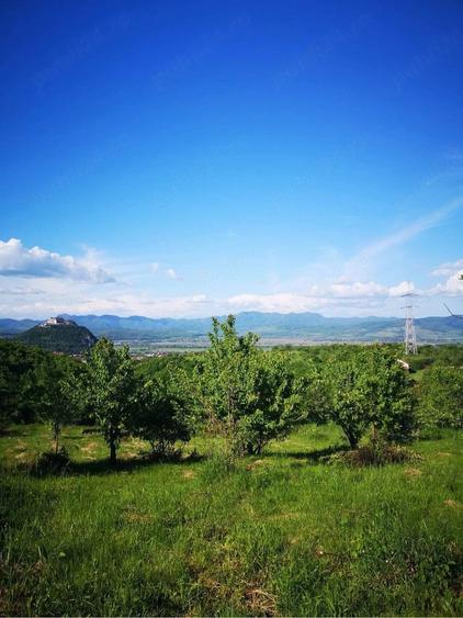 Teren de 1330 mp, în Central