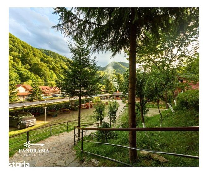 Casă cu Teren 29337 Mp în Râu Sadului