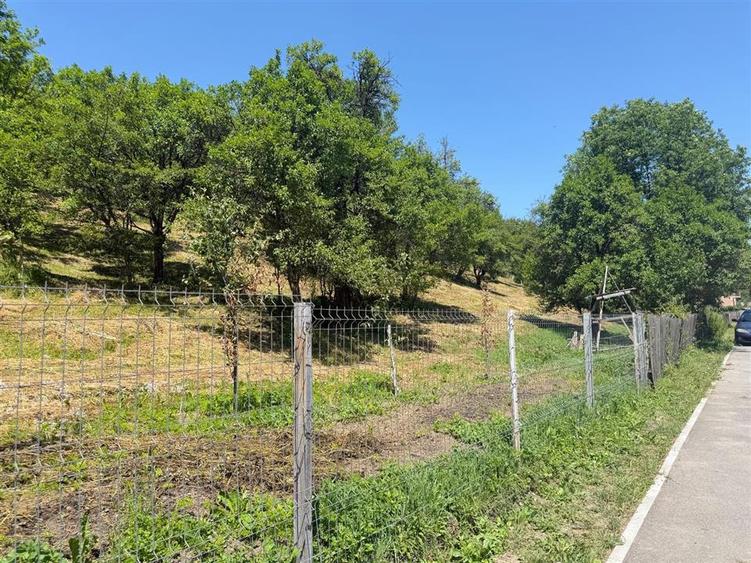 Teren Construcții intravilan de 2316 mp, în Valea Doftanei
