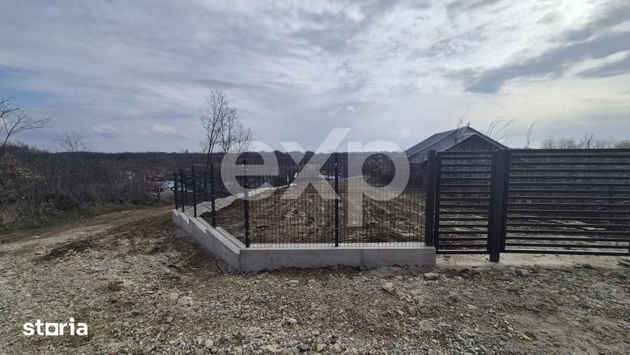 Teren 1.500 mp langa padure, Albota liniste, natura si potential d - 4