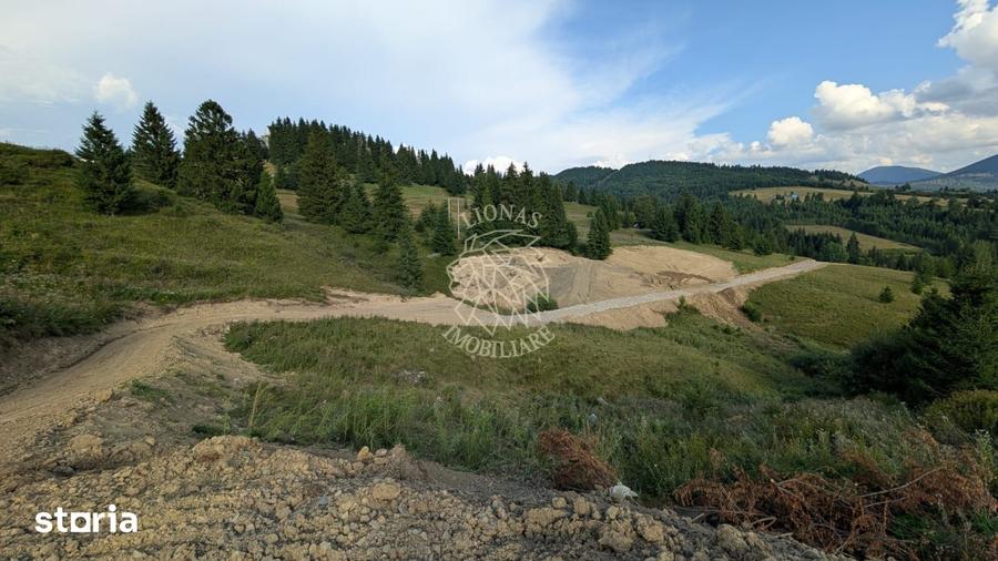 OFERTA! 11 Parcele teren intravilan-Piatra Fantanele, Castel Dracula - 2