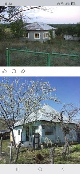 Casă cu Teren 3700 Mp în Fârtățești