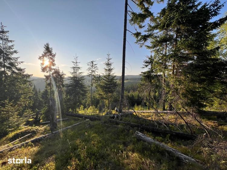 Teren de 500000 mp, în Ciocănești