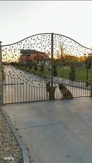 Casă cu Teren 6600 Mp în Ulmi
