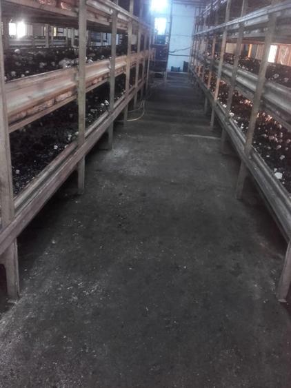 Spațiu comercial, de 500 mp, în Stoina