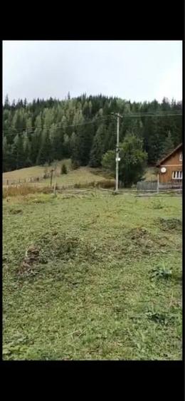 Teren Construcții intravilan de 12000 mp, în Ortoaia