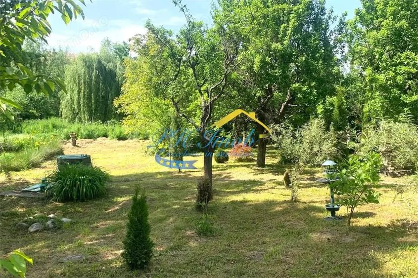 Casă cu Teren 3043 Mp în Provița de Sus