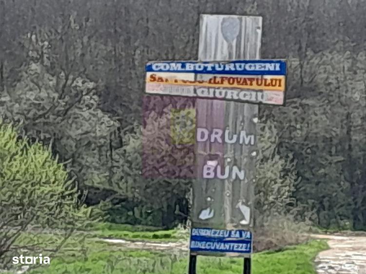 Teren de 3400 mp, în Buturugeni