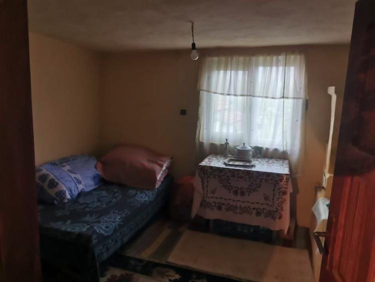 Casă individuală cu 4 camere cu Teren 7000 Mp în Argetoaia