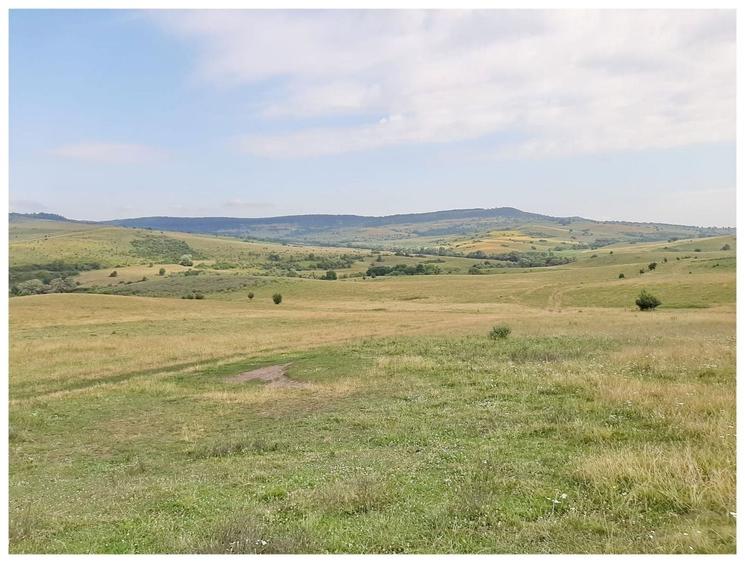 Teren agricol extravilan de 2500000 mp, în Șercaia