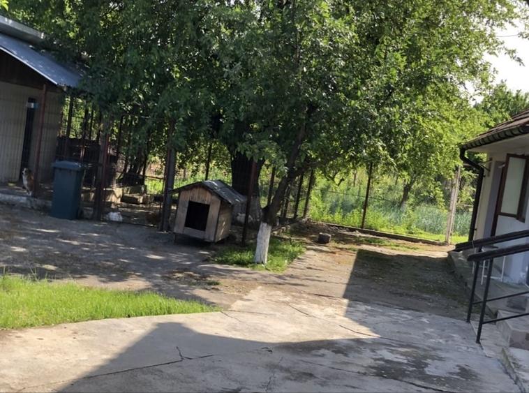 Casă cu 3 camere în Central