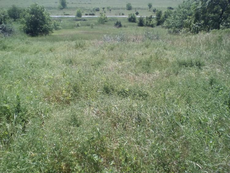 Casa 4 cam. in Vinga central - ID : RH-7723-property - 1