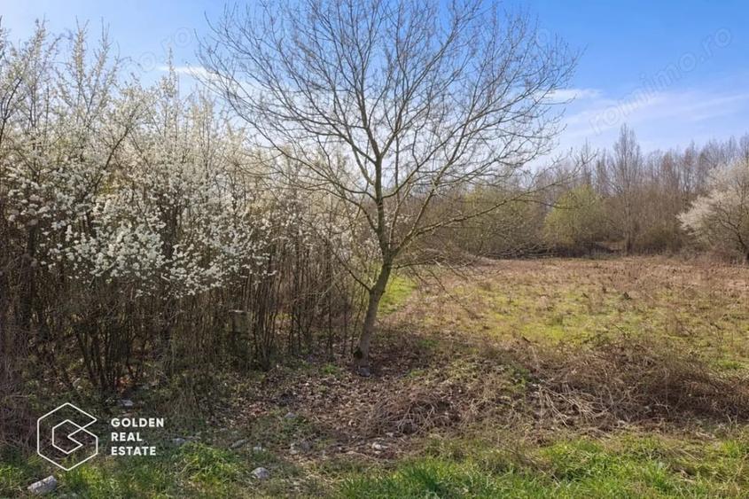 Teren de 4300 mp, în Cuveșdia
