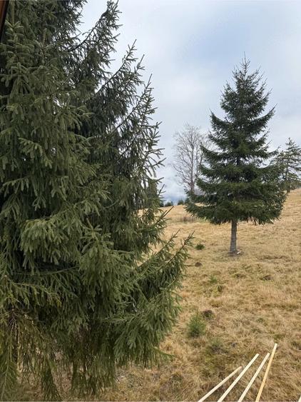Casă cu Teren 1100 Mp în Central