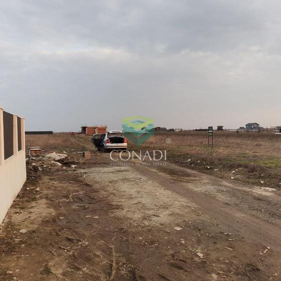 Teren Construcții intravilan de 600 mp, în Berceni