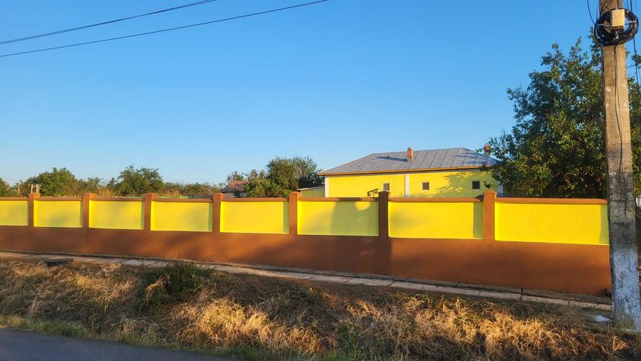 Casă cu 4 camere în Troianul