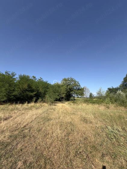 Vand teren extravilan potrivit pentru cabana, arabil, langa vale cu fantana, aproape de sosea