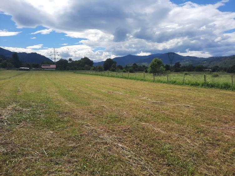 Teren intravilan de 4835 mp, în Alexandru cel Bun