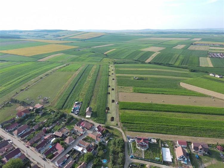 Teren Construcții intravilan de 430 mp, în Șura Mică