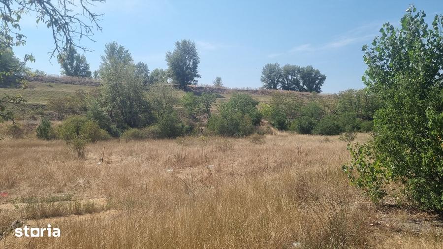Teren intravilan cu destina?ie industriala de vanzare zona Bor? - 4