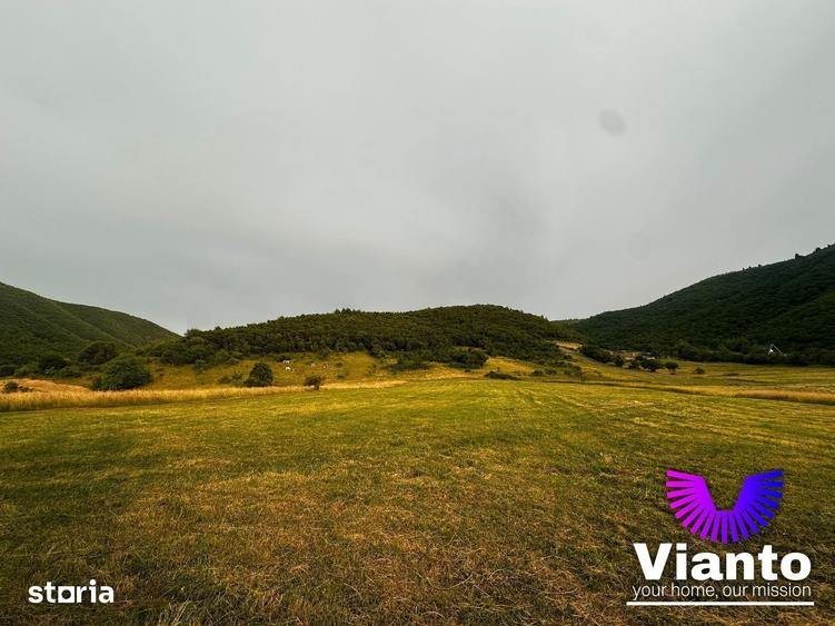 Oportunitate Teren Pt Investitie 3408mp in Gura Raului - 9