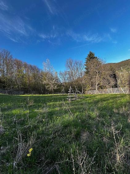 Teren de 2500 mp, în Trăisteni