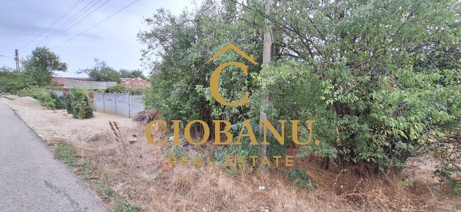 Teren agricol intravilan de 4215 mp, în Exterior Nord