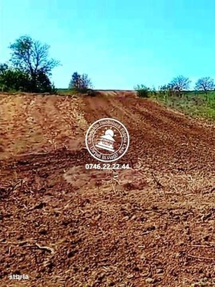 Teren pentru constructii case de vanzare Iasi, Rediu, - 3