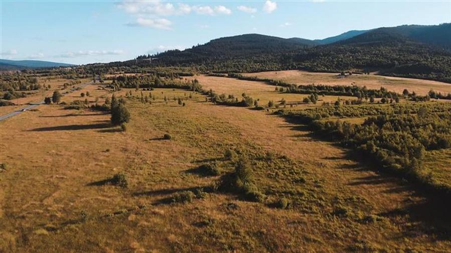 Teren intravilan de 52555 mp, în Suseni