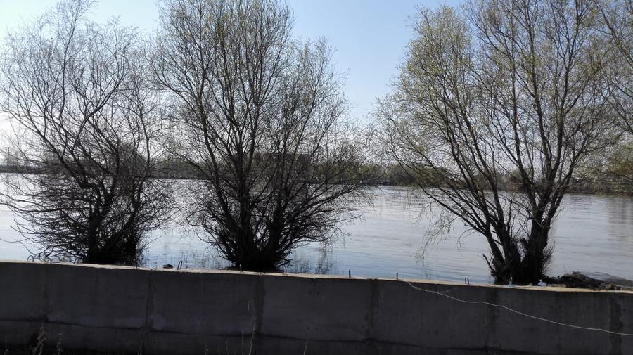 Teren Construcții intravilan de 2800 mp, în Sulina
