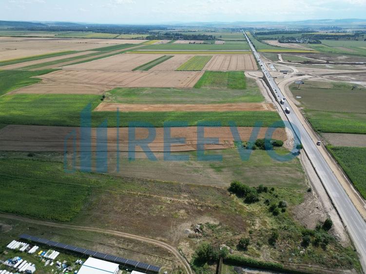 Teren agricol extravilan de 4947 mp, în Horia