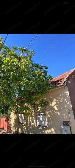 Casă cu Teren 311 Mp în Central