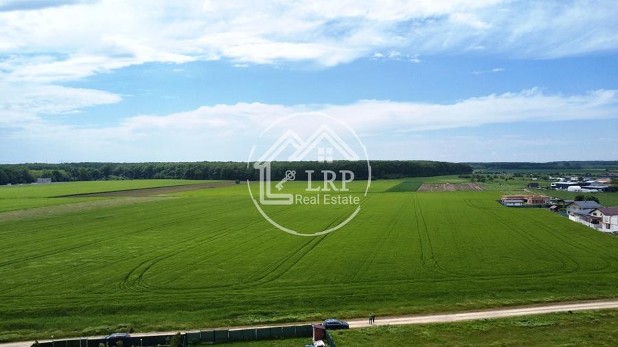Teren Construcții intravilan de 25000 mp, în Dascălu