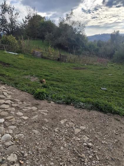 Teren de 1560 mp, în Provița de Jos