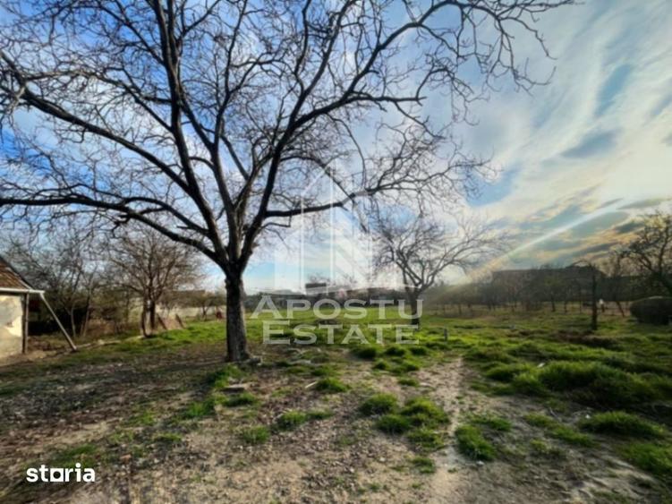 Teren de 1575 mp, în Sânnicolau Mic