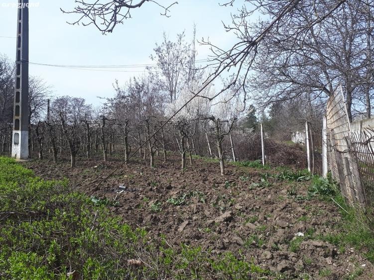 Teren de 2996 mp, în Vest