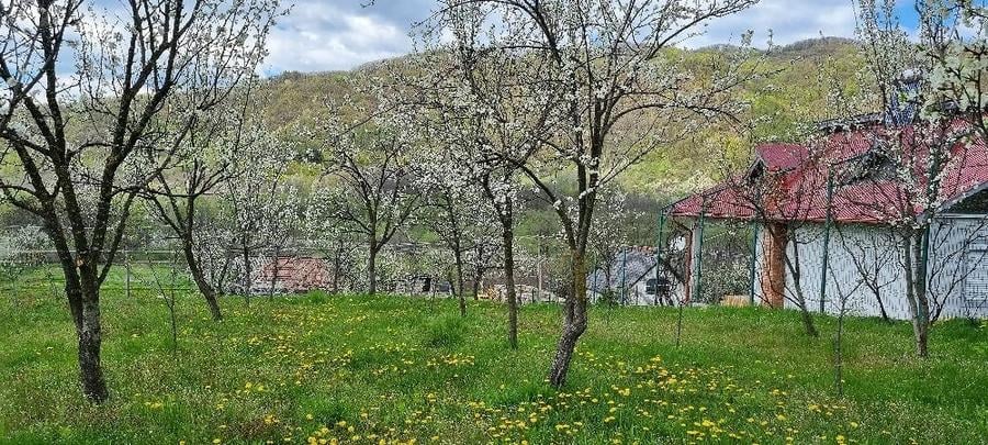 Teren de 1087 mp, în Corbu (Cătina)