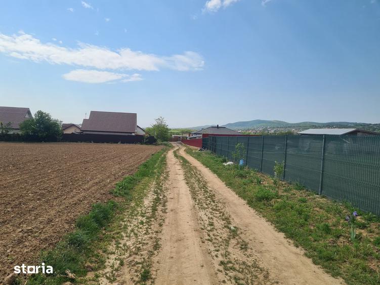 Teren 1500 mp., Magura Cujbic, Bacau - 3