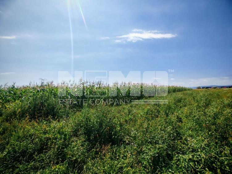 Teren agricol extravilan de 2500 mp, în Periferie