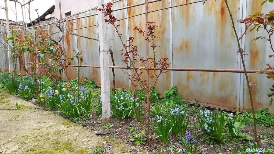 Casă cu 3 camere în Poienarii Burchii