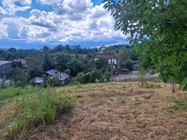 Teren de 3500 mp, în Viforâta