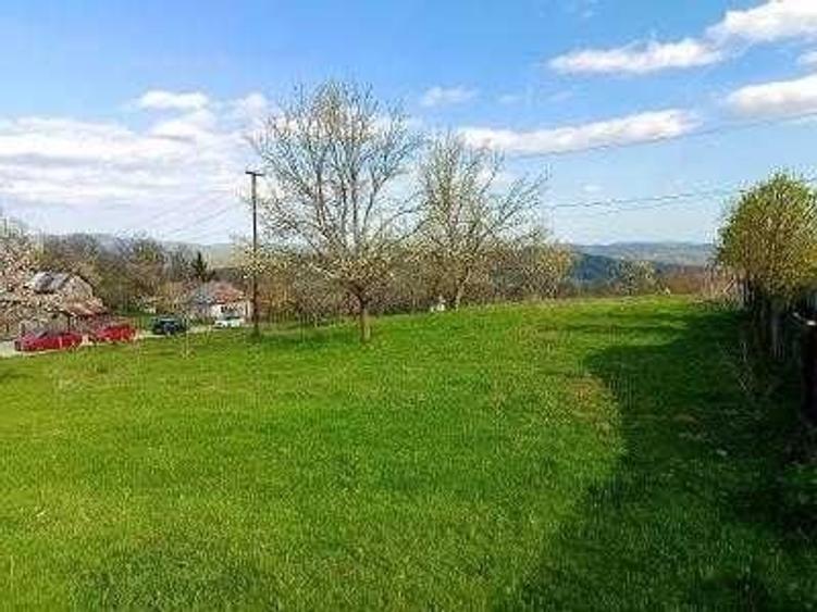 Teren de 2000 mp, în Talea