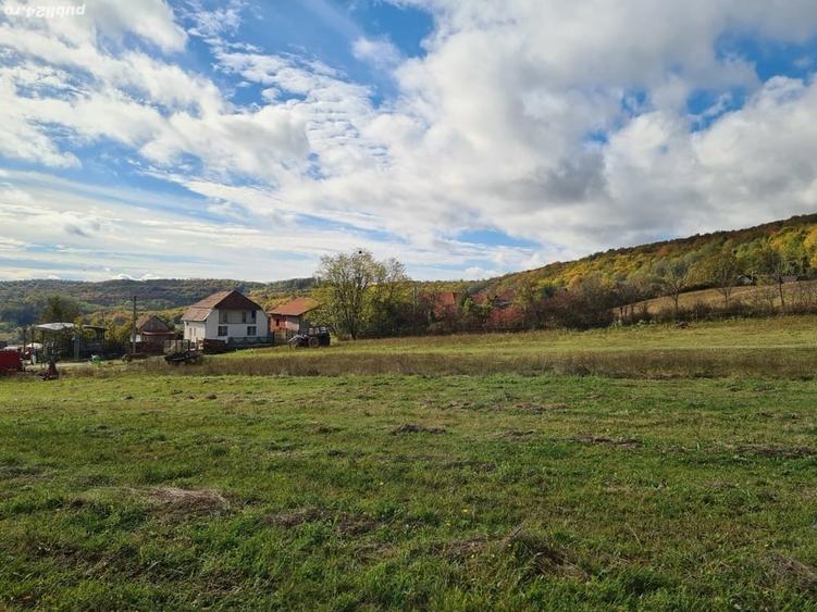 Teren de 2900 mp, în Drăgești