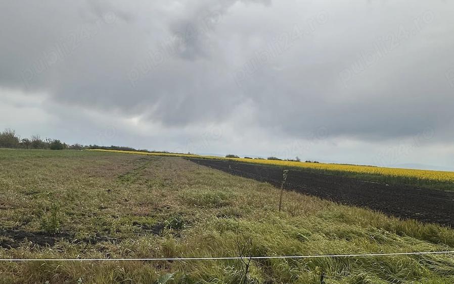 Teren de 2472 mp, în Sălciile
