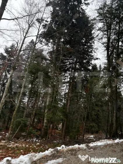 Teren de 4000 mp, în Calea Moroieni