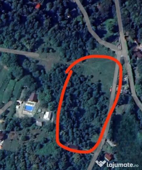 Teren de 8000 mp, în Chiuzbaia