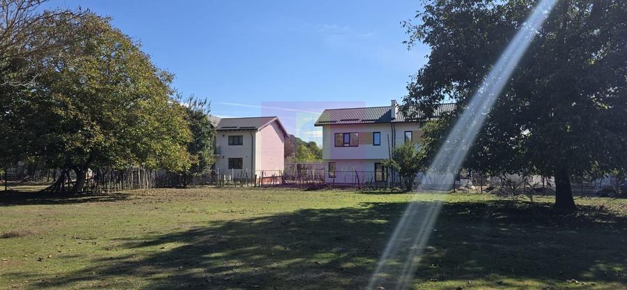 Teren agricol intravilan de 10072 mp, în Voila