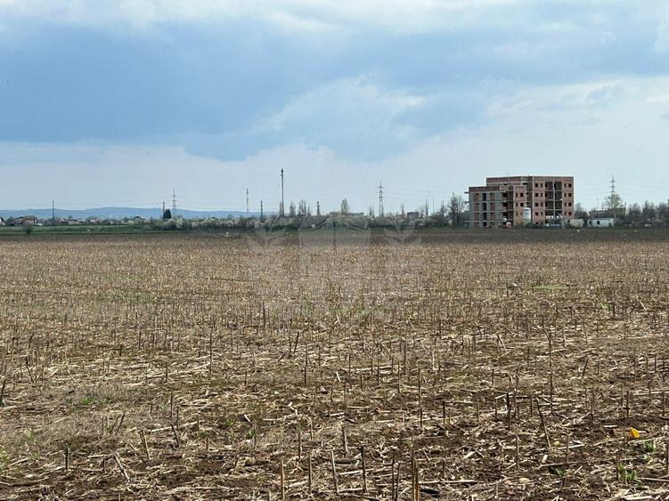 Teren Construcții intravilan de 19989 mp, în Nord